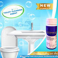 Toilet Cleaning Agent 100 gm (Pack of 2)